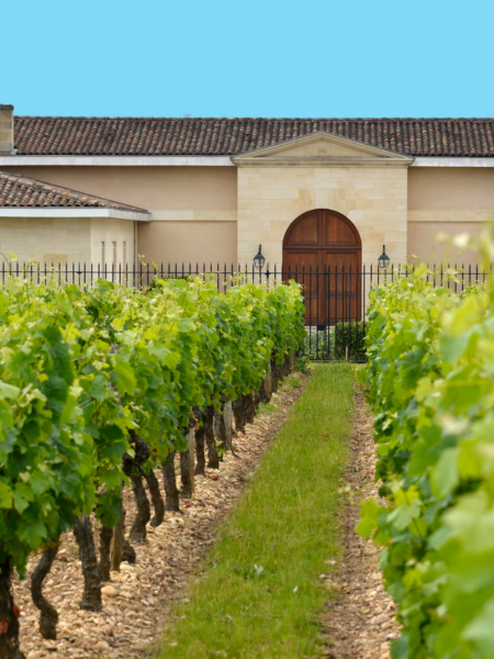 Château Grand Ormeau Lalande de Pomerol